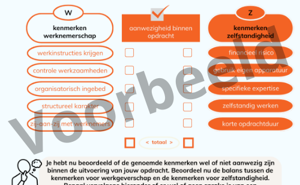 Stroomschema Wet VBAR Schijnzelfstandig Of Niet